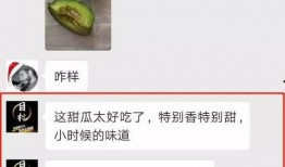 在哪里可以免费获得吃瓜,盘点全网免费瓜源攻略